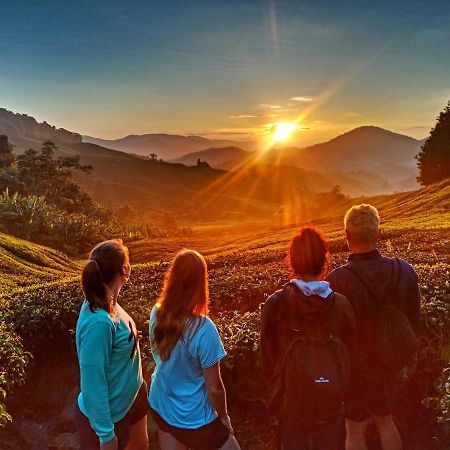 C1 Backpackers Hostel Cameron Highlands Exterior photo