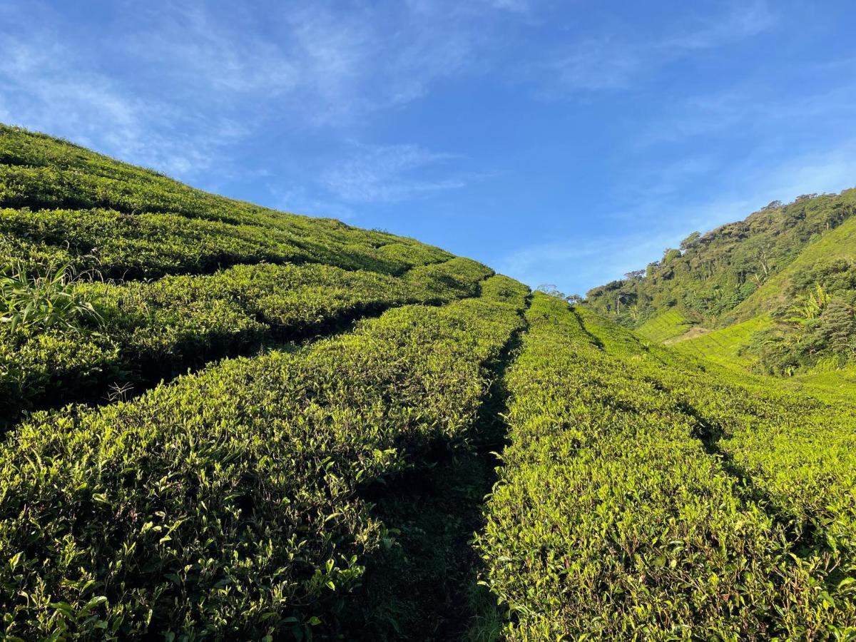 C1 Backpackers Hostel Cameron Highlands Exterior photo